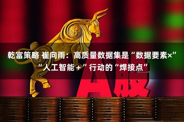 乾富策略 崔向雨：高质量数据集是“数据要素×”“人工智能＋”行动的“焊接点”