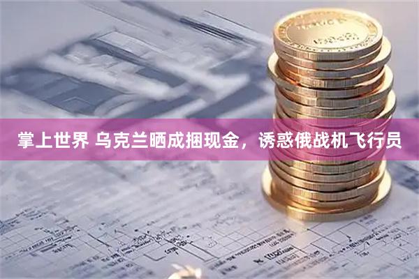 掌上世界 乌克兰晒成捆现金，诱惑俄战机飞行员