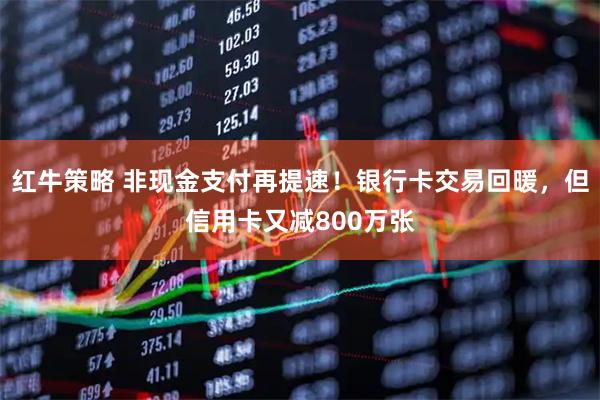 红牛策略 非现金支付再提速！银行卡交易回暖，但信用卡又减800万张