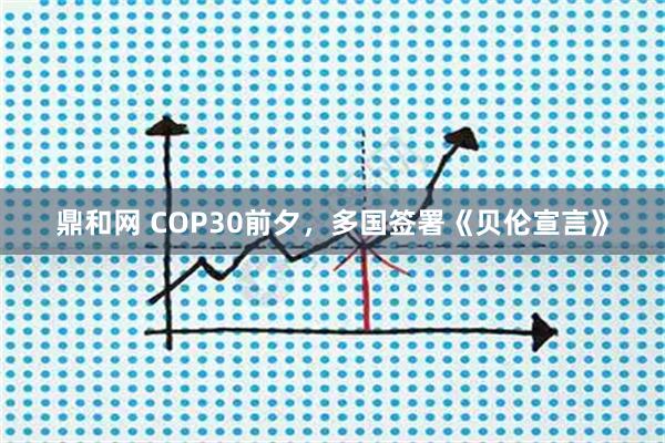 鼎和网 COP30前夕,多国签署《贝伦宣言》