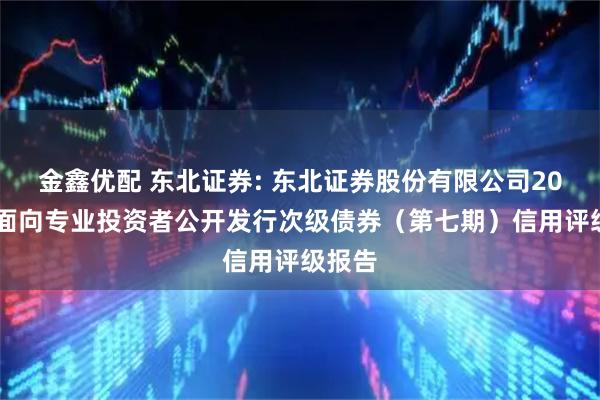 金鑫优配 东北证券: 东北证券股份有限公司2025年面向专业投资者公开发行次级债券(第七期)信用评级报告