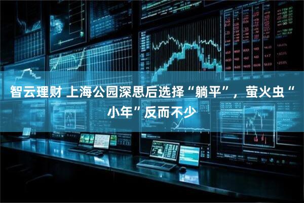 智云理财 上海公园深思后选择“躺平”，萤火虫“小年”反而不少